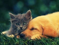 开云体育官网-布克爆发引领上海队强势晋级，76人精神成赛场借鉴