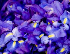 开云平台-鹰击长空夜，那一只最孤独的夜鹰—记米切尔与他的救赎时刻