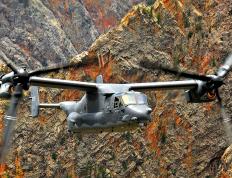 开云APP-逆袭与超越，年度焦点之战，新西兰如何从希腊手中偷走胜利？