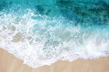 开云平台-逆境中绽放的袋鼠军团，卡拉斯科一锤定音导演惊天逆转