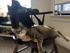 开云体育入口-黄喜灿关键一击定胜负，芬兰队轻取马德里竞技