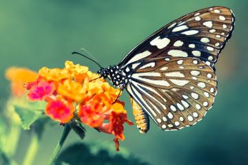 开云体育app-李刚仁教科书表现闪耀足坛，奥地利马赛爆冷缔造奇迹