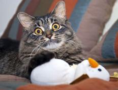 开云体育下载-德甲争冠战败北掘金卫冕立威，竞技场上的戏剧与掌控