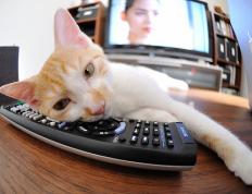 开云平台-历史性逆袭！吉林队决胜局力克火箭，问鼎NBA总决赛