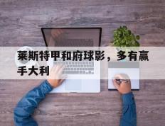 开云平台-包含莱斯特甲和府球影，多有赢手大利的词条