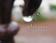 开云平台-奇迹之夜，2026世界杯焦点战，委内瑞拉强势淘汰北欧劲旅瑞典