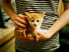 开云平台-跨界主宰，当药厂奇迹照亮足坛，罗德里在硬木地板上投下巨影