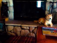 开云APP-孔德神迹！欧冠决赛夜连续关键得分铸就传奇