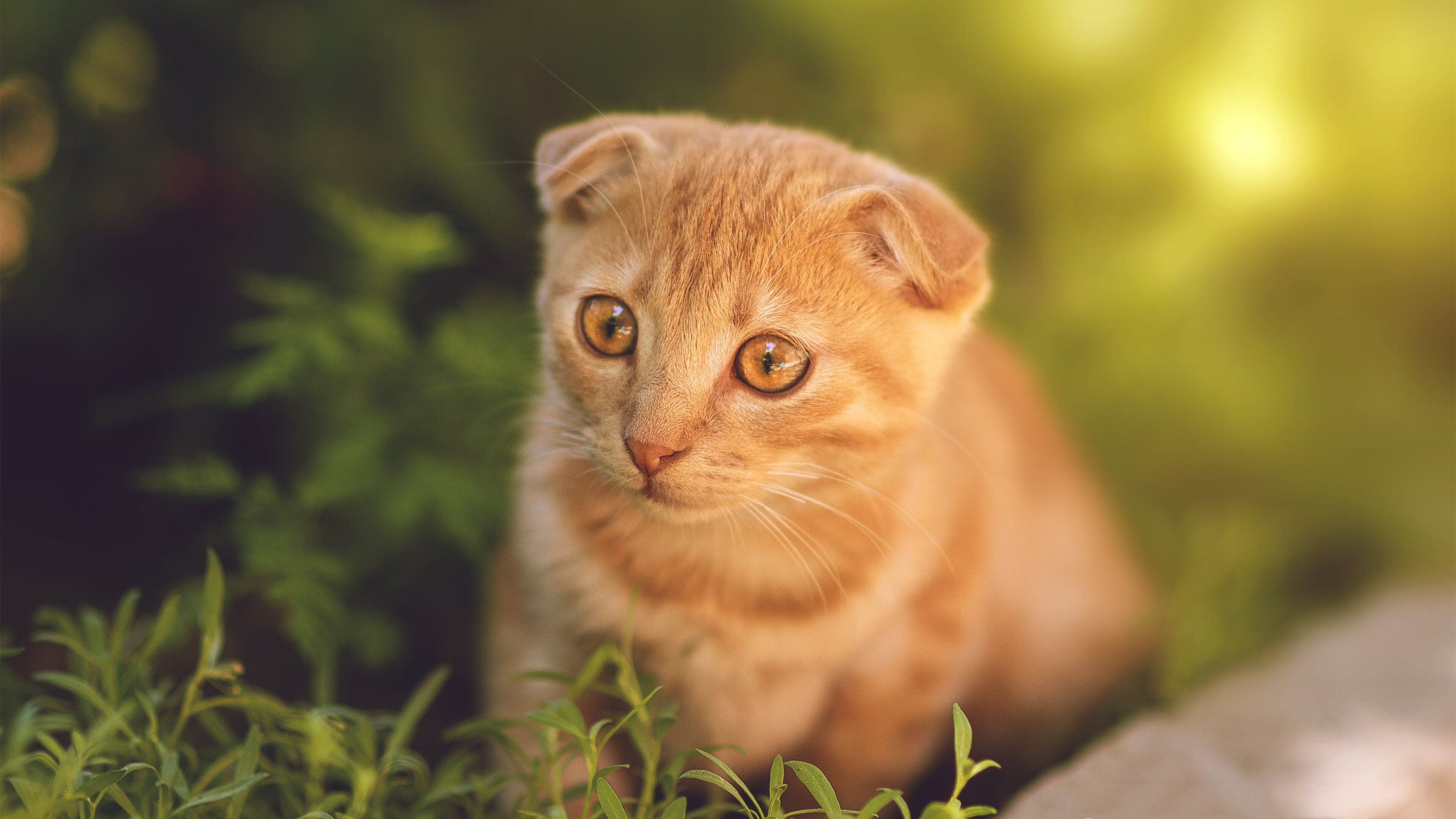 开云体育官网-东决焦点战，雄鹿单节狂潮拉开马刺，关键胜利奠定晋级之路