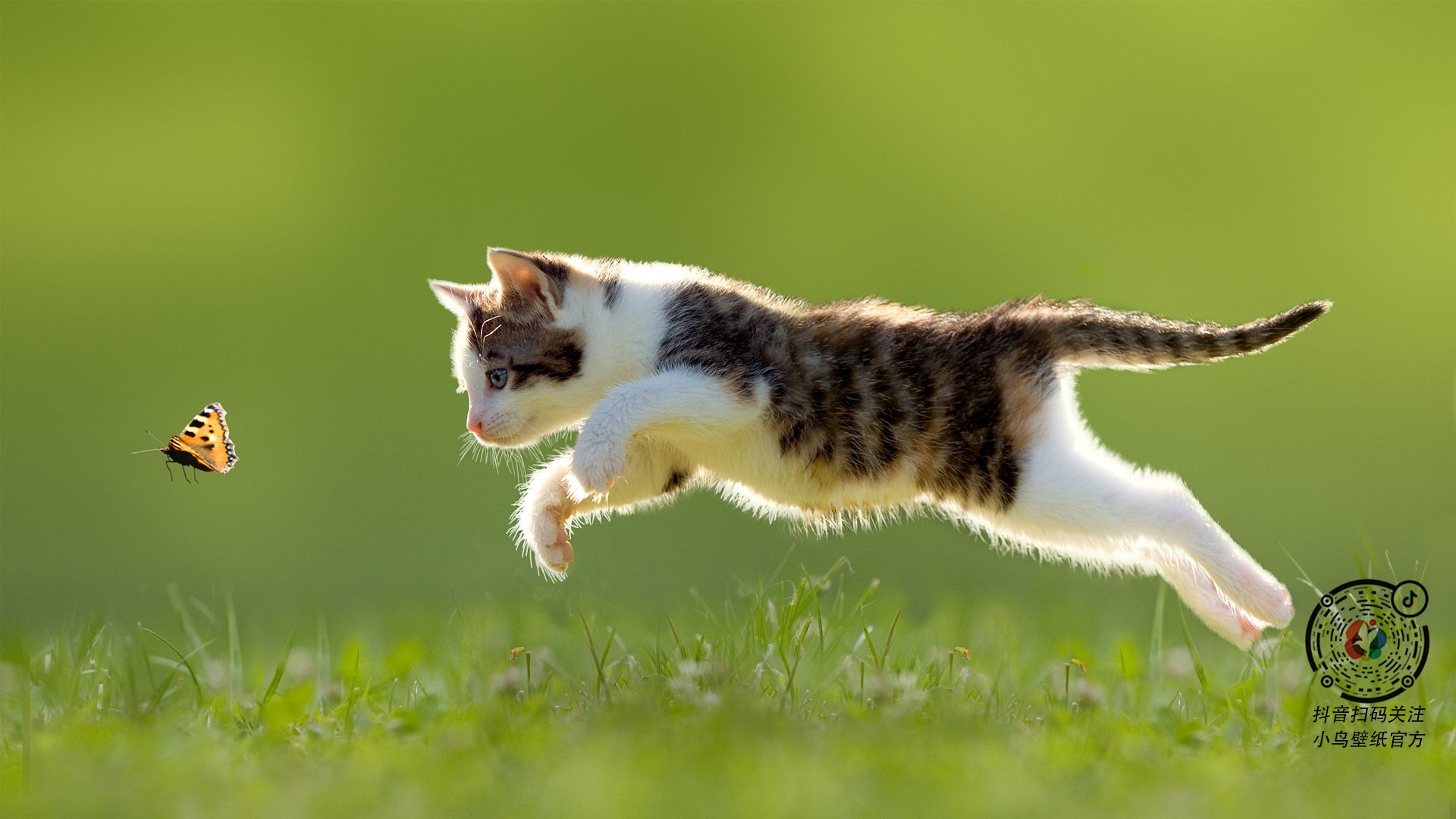 开云体育入口-篮球之夜,广厦队粉碎北京队,字母哥欧冠半决赛展统治力