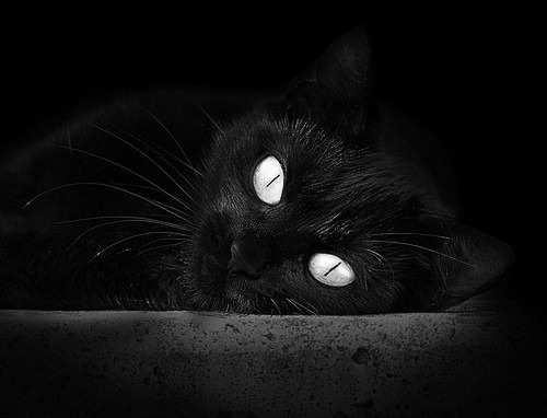 开云体育app-暗夜烽火与丝绒权杖，年度焦点之战中福登的节奏独裁