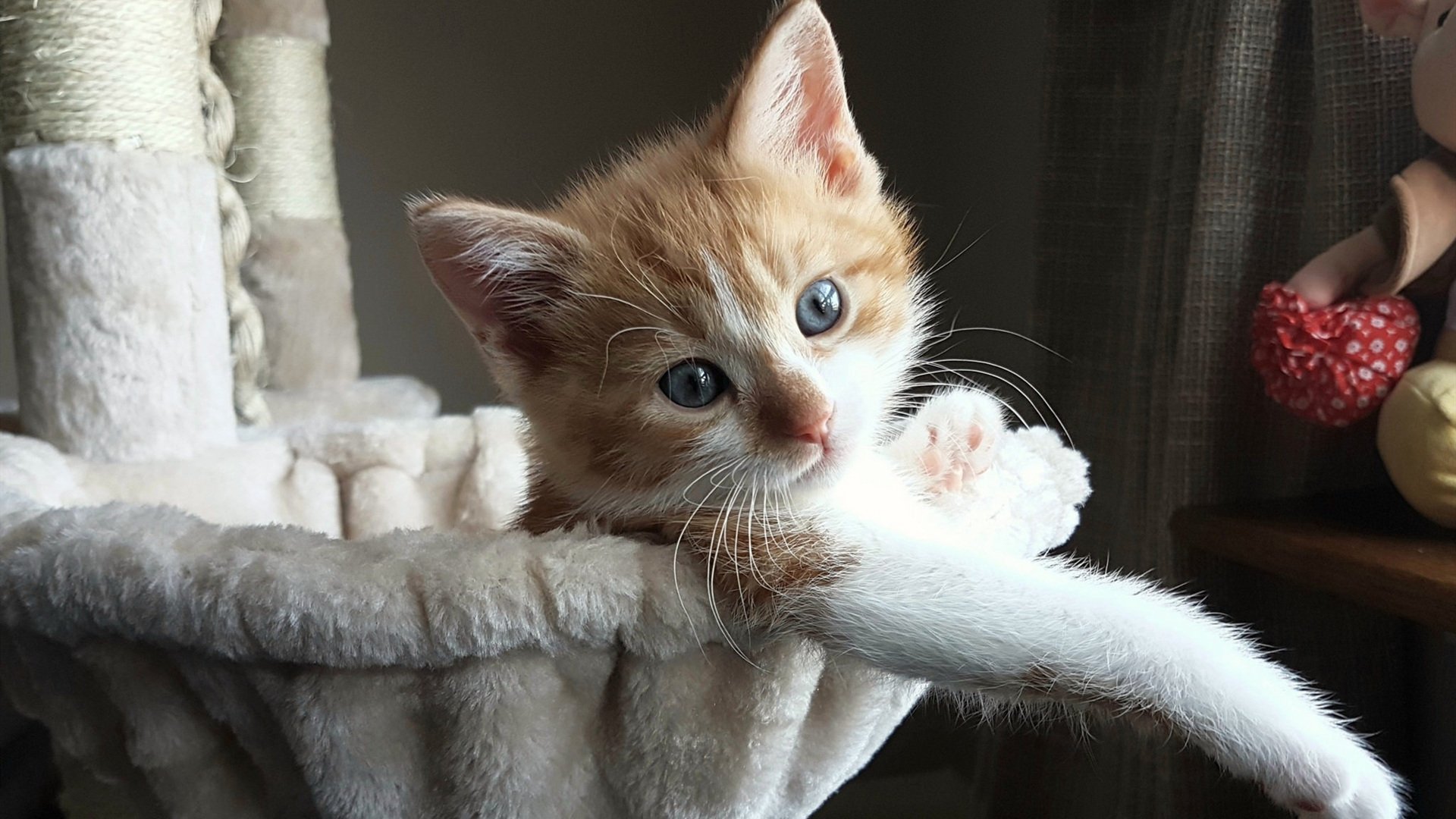 开云体育app-惊天逆转!奥运关键战法国绝地反击,安哥拉功亏一篑