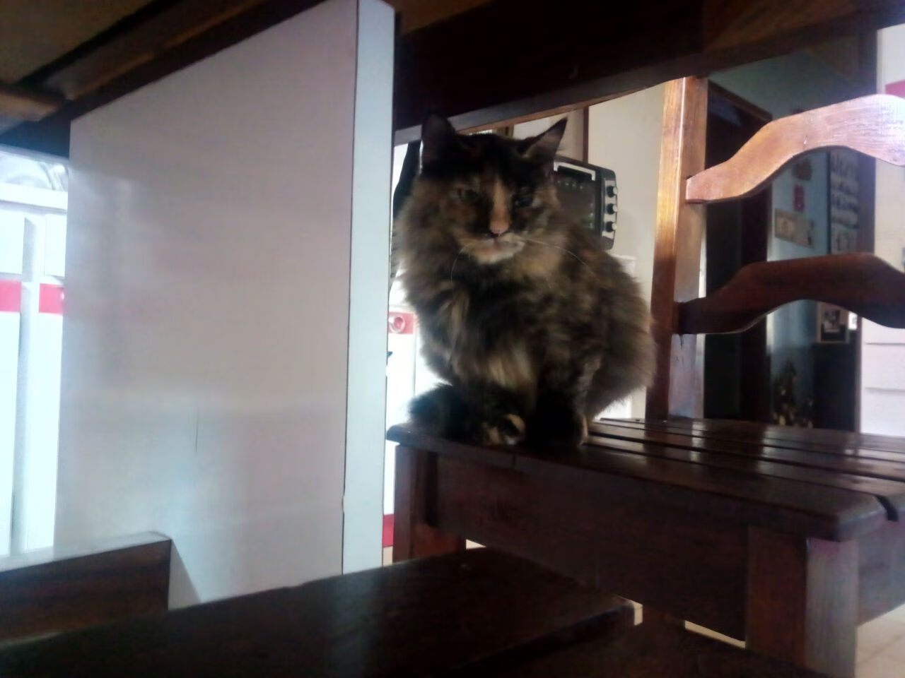 开云体育下载-班凯罗主宰决胜局!掘金攻克开拓者晋级之路