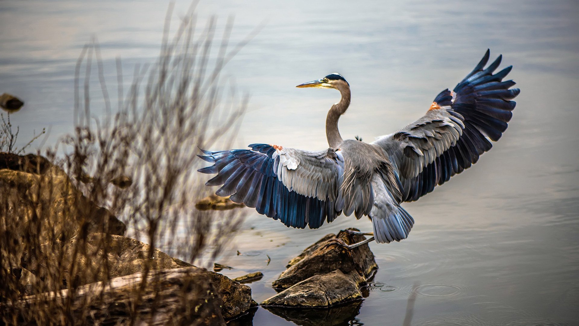 开云体育入口-老将破局！若日尼奥以一己之力击溃青春风暴，皇马硬仗启示录