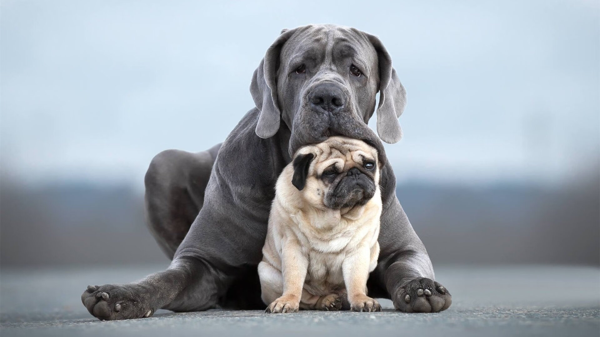 开云体育APP下载-维尼修斯点燃桑巴风暴，丹麦童话续写突围传奇