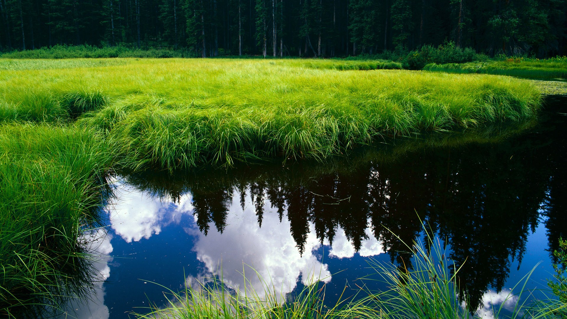 开云体育APP下载-三狮陨落,铁骑东来,2026世界杯首战,奥地利如何冲垮哥斯达黎加?