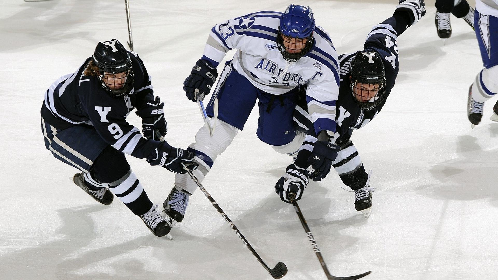 开云体育APP下载-太阳炽焰焚风城，福克斯关键接管撕裂公牛防线