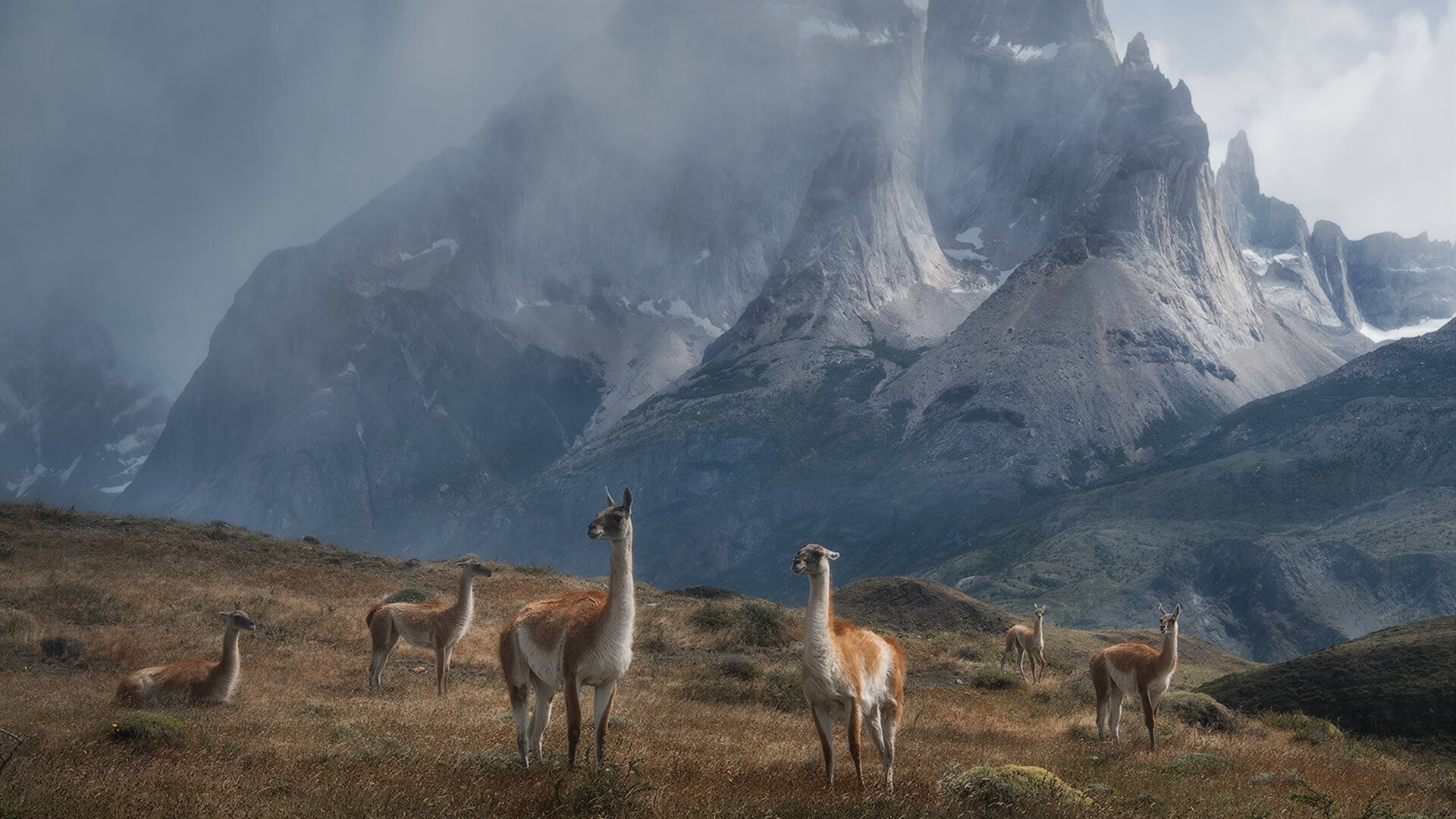 开云体育在线-奥运练兵场,独行侠横扫骑士背后的杰伦·格林关键战接管